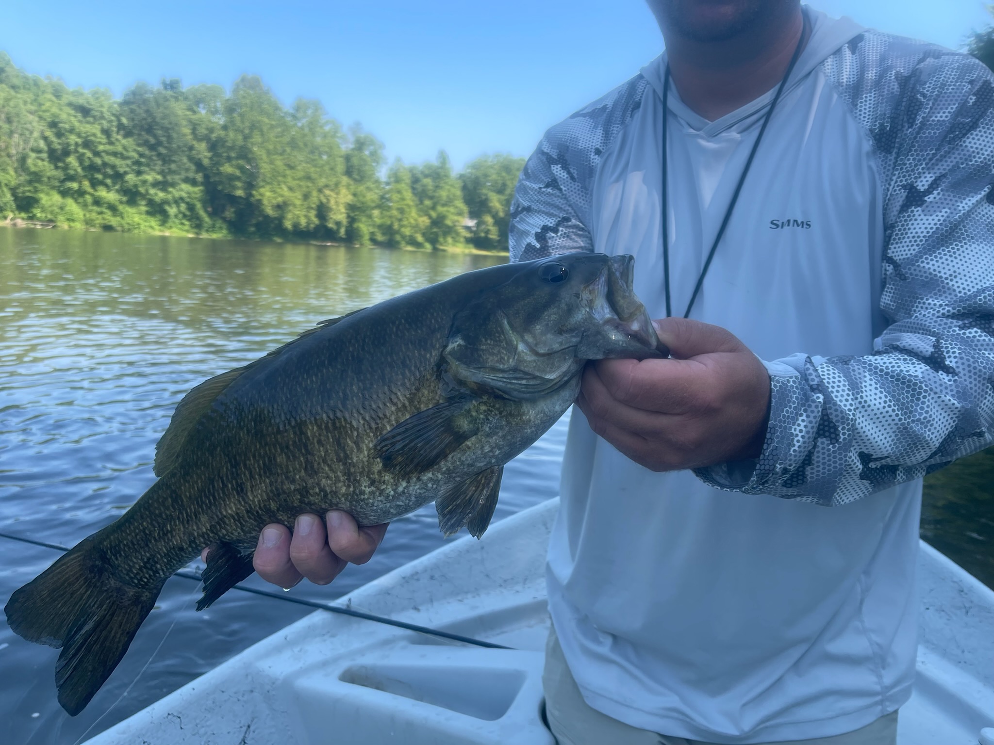 smallmouth bass on fly swpa