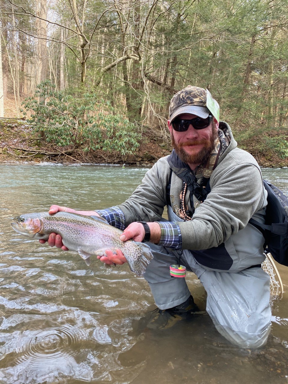 Rainbow trout on yellow creek swpa