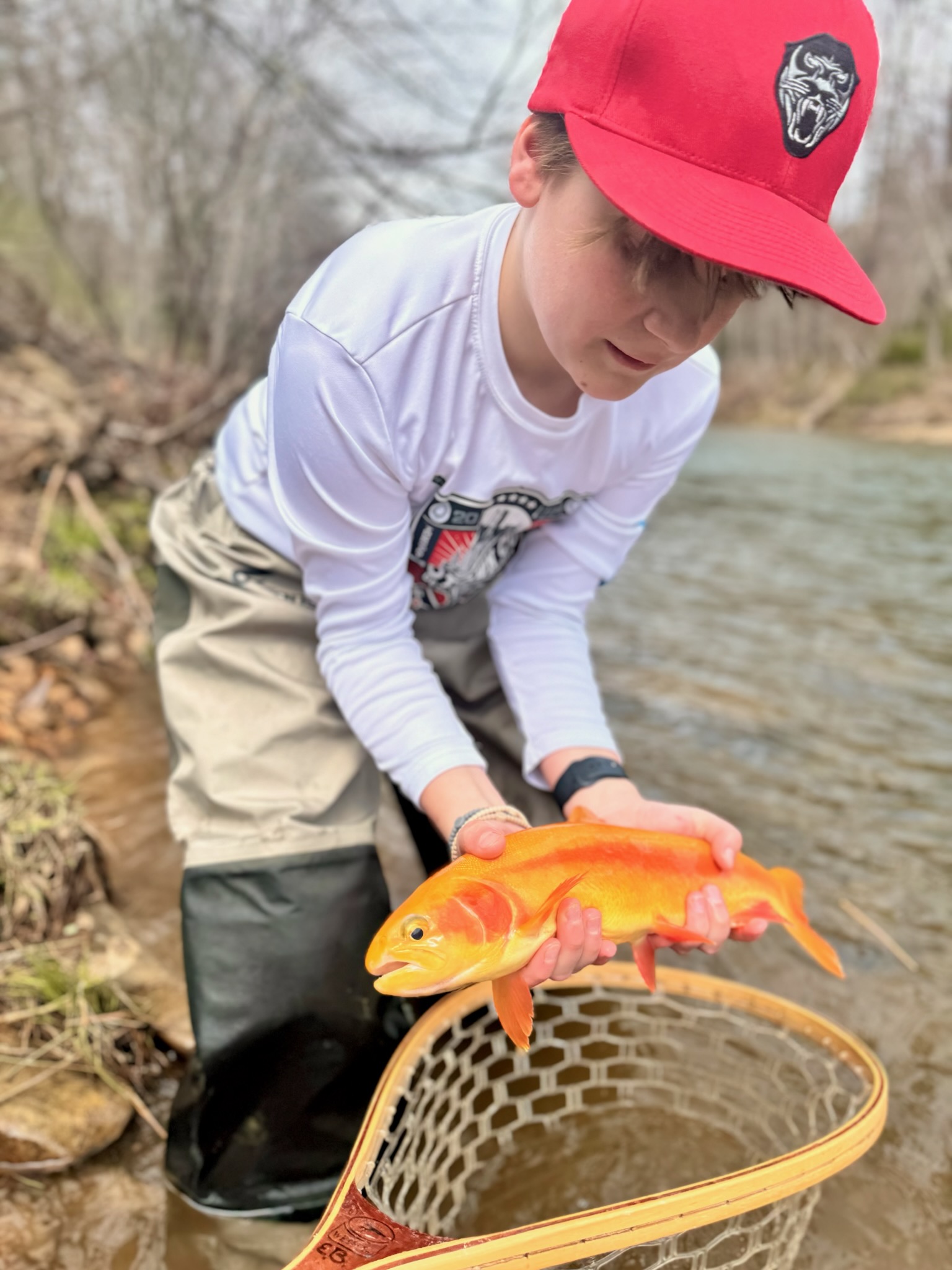 late winter trout fishing on Yellow creek